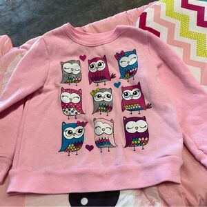 Pink Girls Sweater Colorful Owls Sweatshirt Long Sleeve Hoot! Hoot!